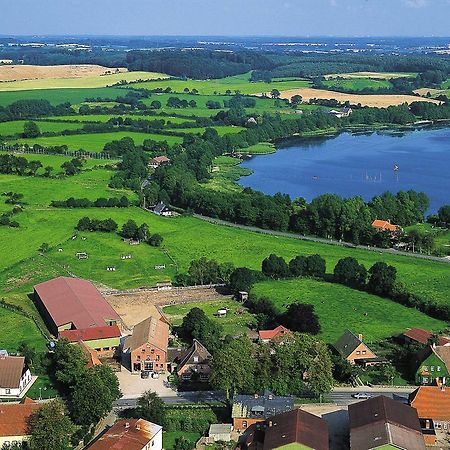 Ponyhof Naeve Am Wittensee Gross Wittensee Exteriör bild