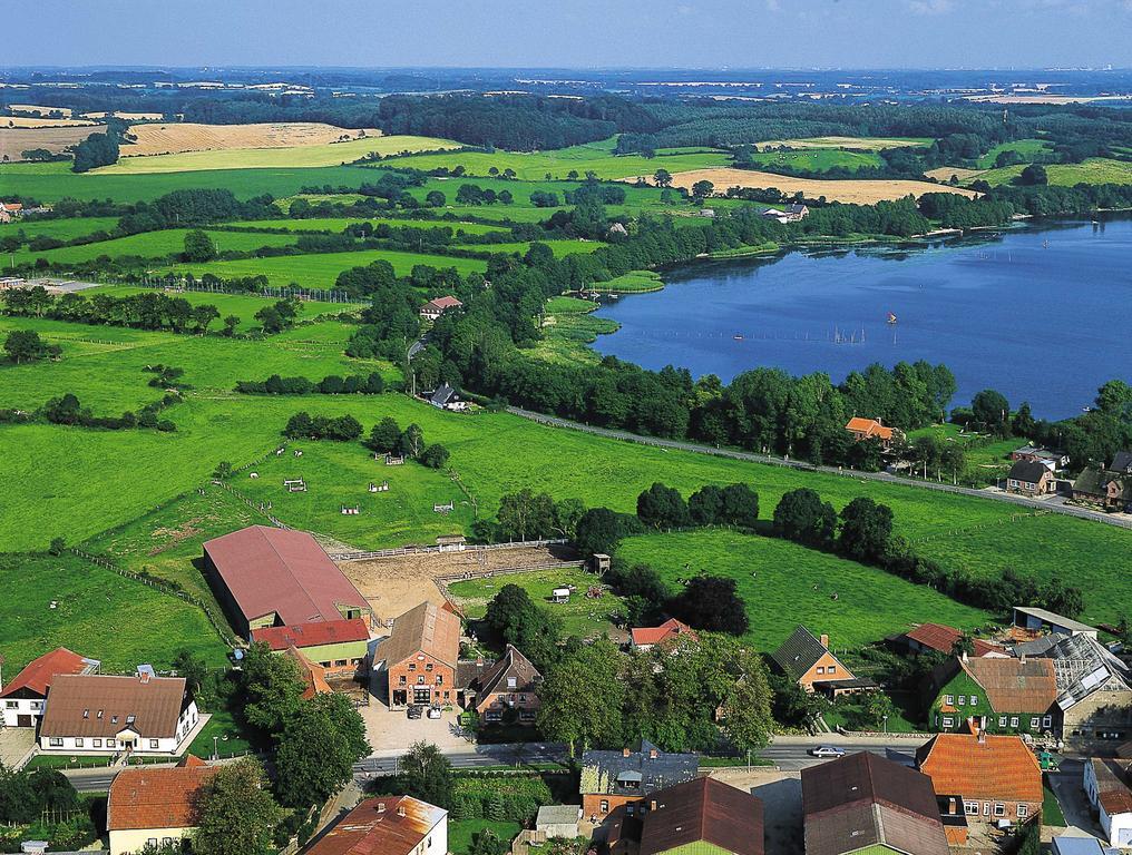 Ponyhof Naeve Am Wittensee Gross Wittensee Exteriör bild