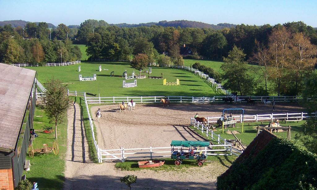 Ponyhof Naeve Am Wittensee Gross Wittensee Exteriör bild